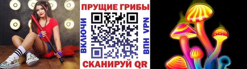 Псилоцибиновые грибы прущие грибы  Знаменск 